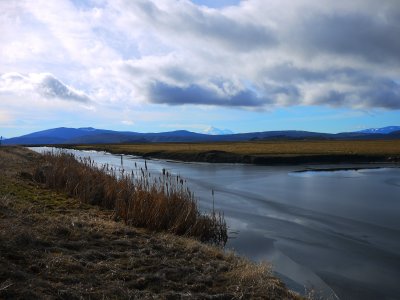 16. Water Wonder on the Wetlands