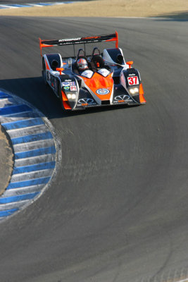 Intersport Lola in the Corkscrew