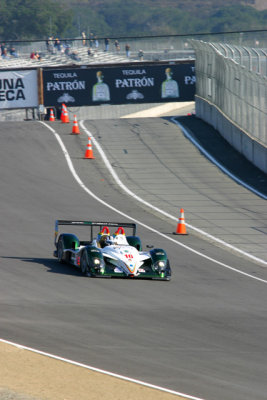 ECO Radical in T1