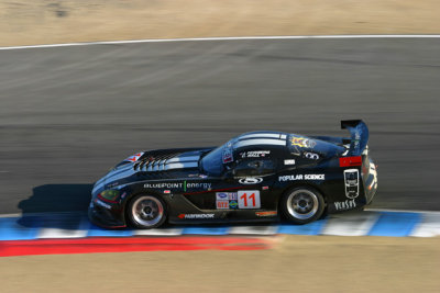 Primetime Viper in T6