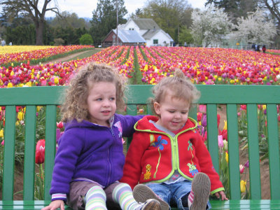 Tulip Festival 2009