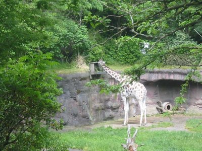 IMG_4844.jpg