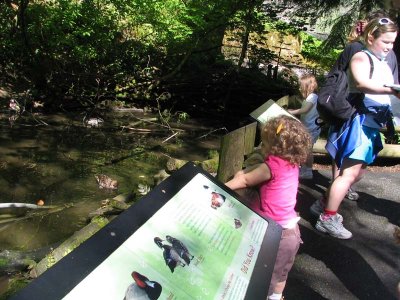 IMG_6197.jpg
