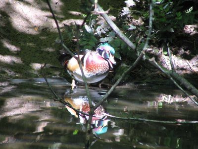 IMG_6200.jpg