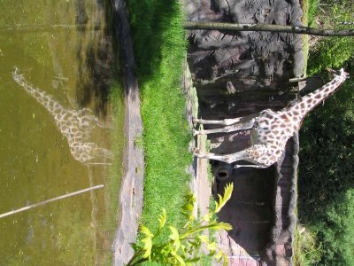 IMG_6218.jpg
