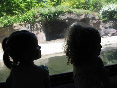 IMG_6227.jpg
