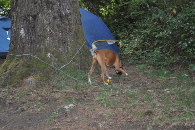 DSC_0291.jpg