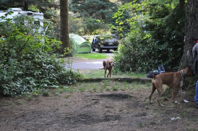DSC_0294.jpg