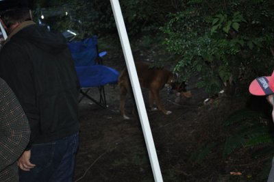 DSC_0323.jpg