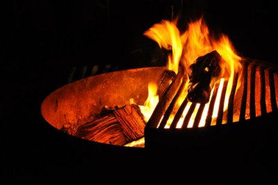 DSC_0353.jpg
