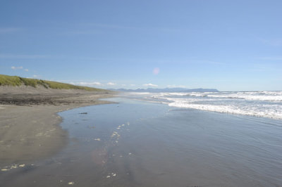 DSC_0424.jpg