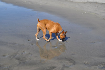 DSC_0425.jpg