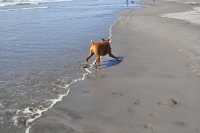 DSC_0426.jpg