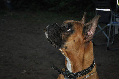 DSC_0485.jpg