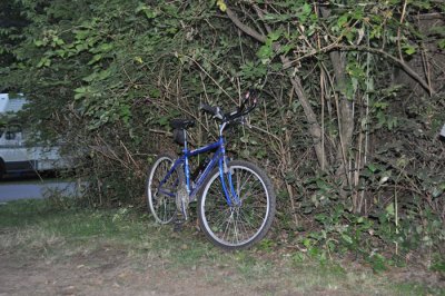 DSC_0495.jpg