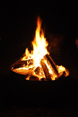 DSC_0524.jpg