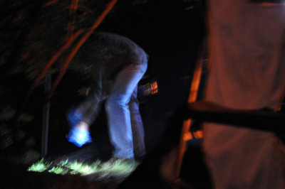 DSC_0537.jpg
