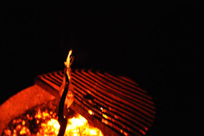 DSC_0550.jpg