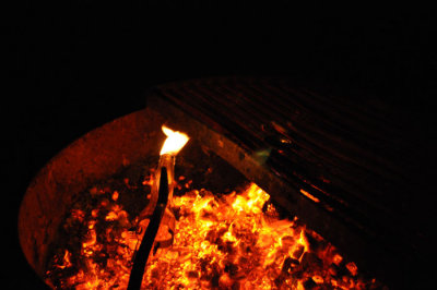 DSC_0552.jpg