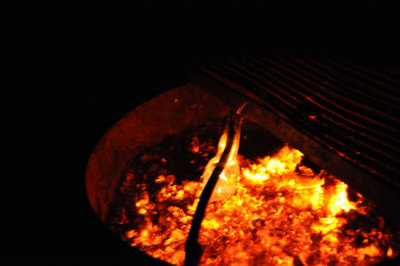 DSC_0553.jpg