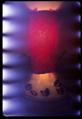 IMG17.jpg