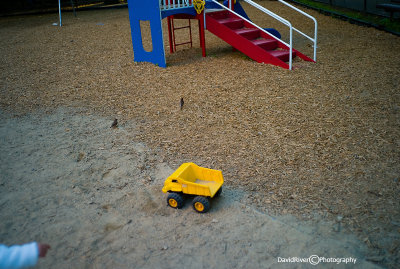 playground-3.jpg