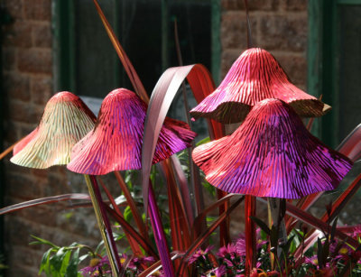 Magic Mushrooms, Tyntesfield