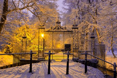 Snow-Laden Gate