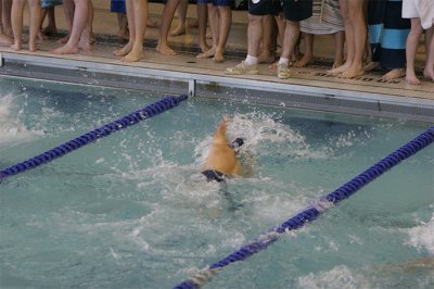 IMG_0008.jpg