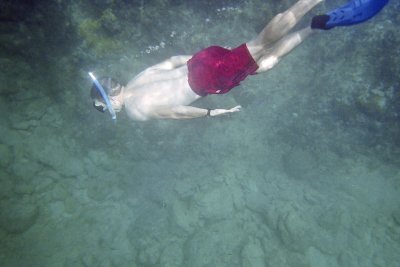 Barnacle