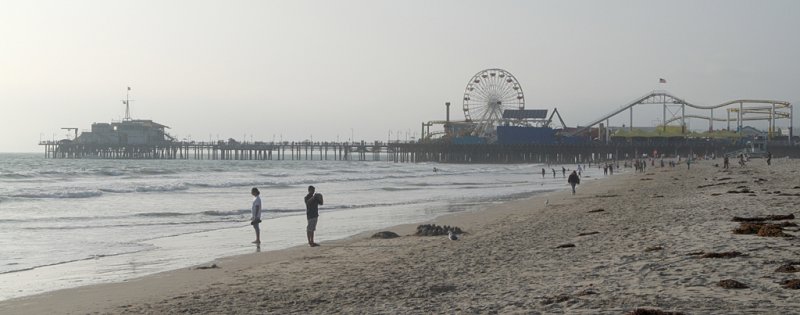 DSCF1960_1.jpg