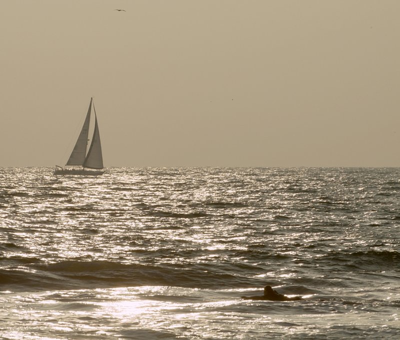 DSCF1976_1.jpg