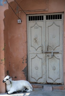 _DSC3373.jpg