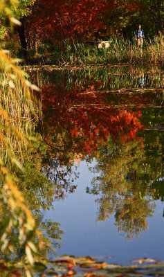 Pond at Albertson Park