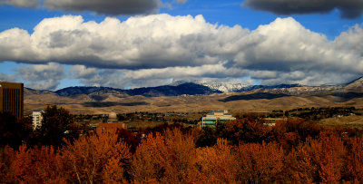 Idaho 2008