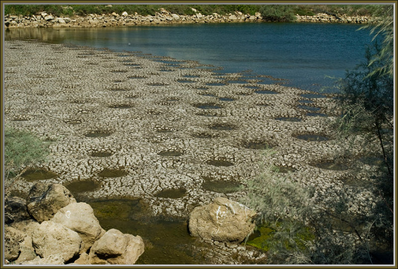 Fishponds of the Naaman II