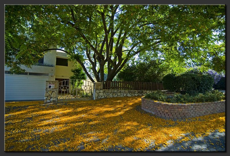 Kfar Vradim