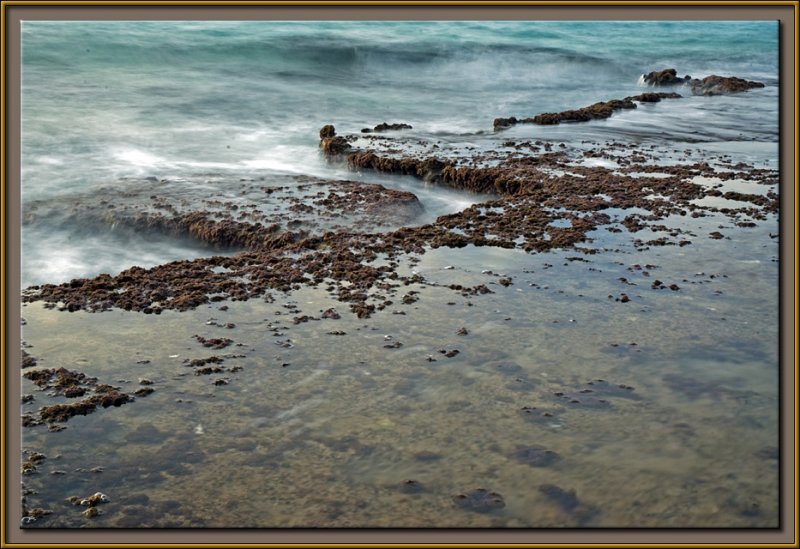 The oceans breath