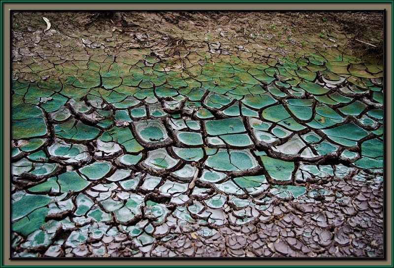 Barren land