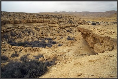 Barren land