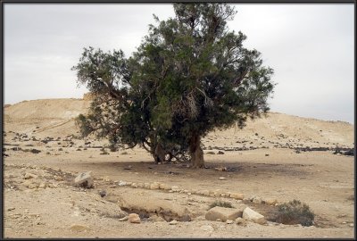 Nizana - at the Sinay border