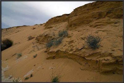 Dunes in Nachal Lavan (White River)