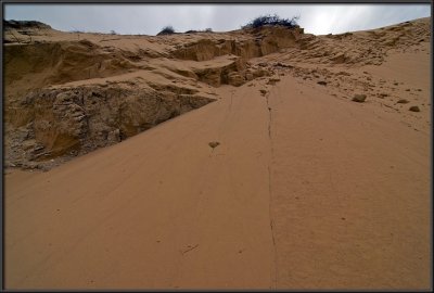 The Great Dune