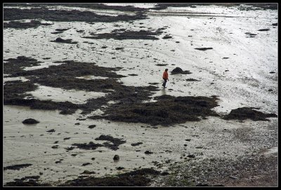 cancale