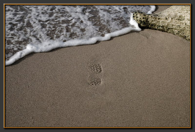 Footprints on the sand... to what end ?
