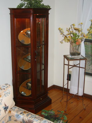 Mandolin Curio side.JPG