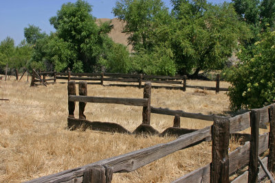 Cattle Corral