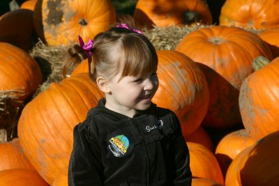 In the Pumpkins