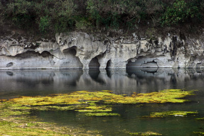 Limestone Riverbank