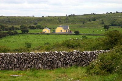 Irish Farm